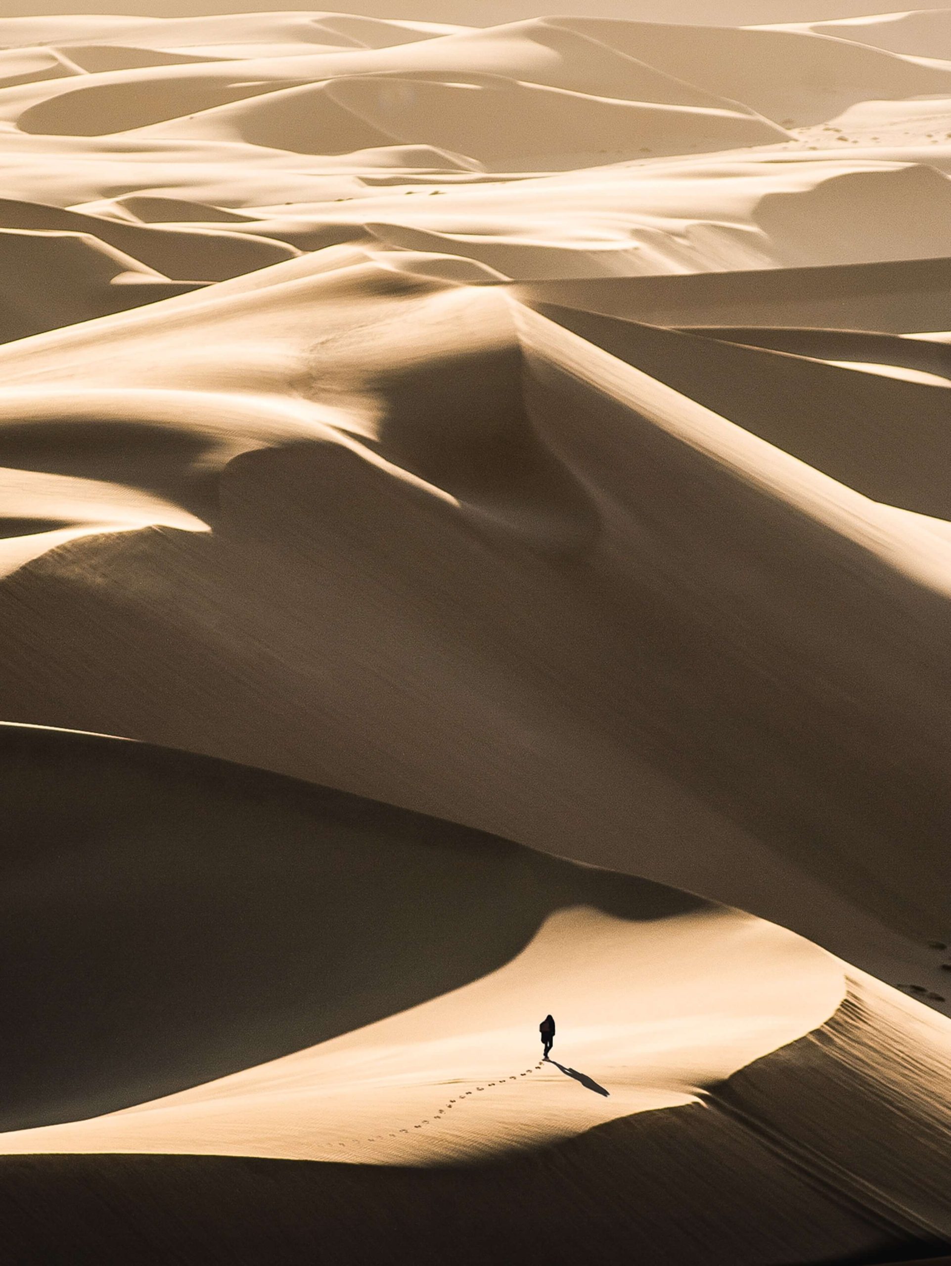 world-with-purpose-uae-4